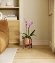 Load image into Gallery viewer, Calm Rose stand:bamboo
