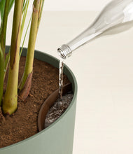 Load image into Gallery viewer, Sage Green
