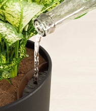 Load image into Gallery viewer, Stone Black stand:all
