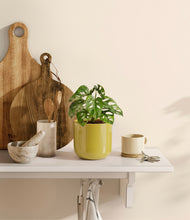 Load image into Gallery viewer, Key Lime Yellow
