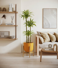 Load image into Gallery viewer, Sunset Orange stand:bamboo
