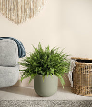 Load image into Gallery viewer, Sage Green
