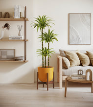 Load image into Gallery viewer, Sunset Orange stand:walnut
