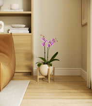 Load image into Gallery viewer, Shiny EggWhite stand:bamboo
