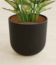 Load image into Gallery viewer, Stone Black stand:all
