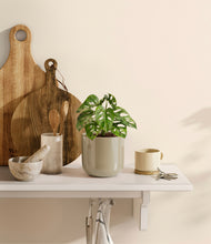 Load image into Gallery viewer, Sage Green
