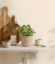 Load image into Gallery viewer, Sandy Pink
