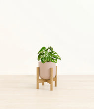 Load image into Gallery viewer, Sandy Pink stand:light
