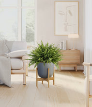 Load image into Gallery viewer, Sage Green stand:light
