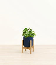Load image into Gallery viewer, Twilight Blue stand:light
