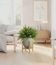Load image into Gallery viewer, Sage Green stand:light
