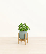 Load image into Gallery viewer, Reactive Aqua stand:light
