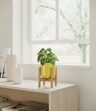 Load image into Gallery viewer, Key Lime Yellow*****Profile
