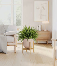 Load image into Gallery viewer, Sandy Pink stand:light
