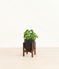 Load image into Gallery viewer, Stone Black stand:dark
