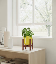 Load image into Gallery viewer, Key Lime Yellow stand:dark
