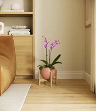 Load image into Gallery viewer, Calm Rose stand:bamboo
