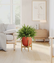 Load image into Gallery viewer, Earth Red stand:light
