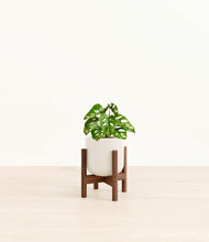 Load image into Gallery viewer, Cotton White stand:dark
