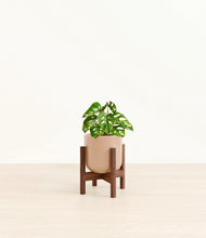 Load image into Gallery viewer, Glossy Pink stand:dark
