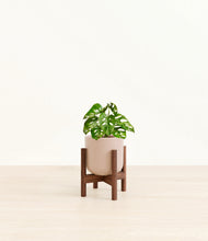 Load image into Gallery viewer, Sandy Pink stand:dark
