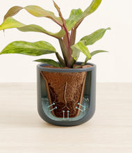 Load image into Gallery viewer, Iron Gray stand:all

