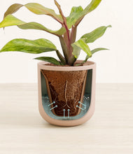 Load image into Gallery viewer, Sandy Pink stand:all
