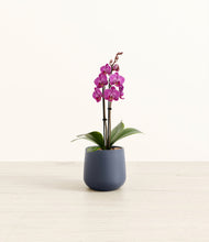 Load image into Gallery viewer, Deep Navy*****Profile
