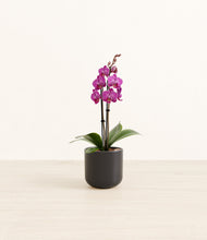 Load image into Gallery viewer, Stone Black*****Profile
