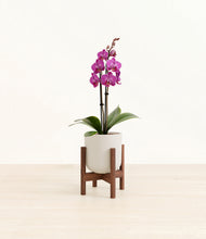 Load image into Gallery viewer, Natural Bamboo stand:walnut
