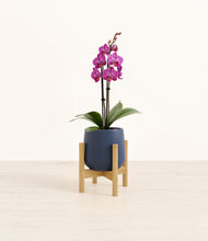 Load image into Gallery viewer, Deep Navy stand:bamboo
