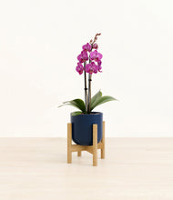Load image into Gallery viewer, Twilight Blue stand:bamboo

