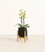 Load image into Gallery viewer, Black stand:bamboo
