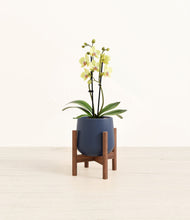 Load image into Gallery viewer, Deep Navy stand:walnut
