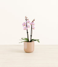 Load image into Gallery viewer, Glossy Pink*****Profile
