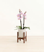 Load image into Gallery viewer, Natural Bamboo stand:walnut
