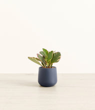 Load image into Gallery viewer, Deep Navy*****Profile
