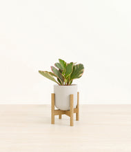 Load image into Gallery viewer, Natural Bamboo stand:bamboo
