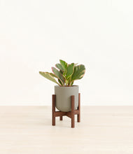Load image into Gallery viewer, Sage Green stand:walnut

