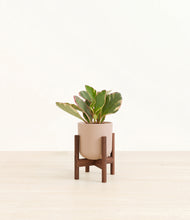 Load image into Gallery viewer, Sandy Pink stand:walnut
