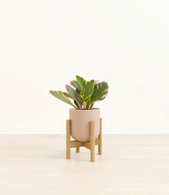 Load image into Gallery viewer, Sandy Pink stand:bamboo
