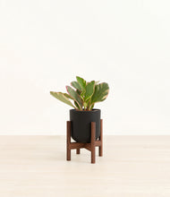 Load image into Gallery viewer, Stone Black stand:walnut
