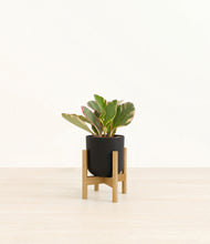 Load image into Gallery viewer, Stone Black stand:bamboo
