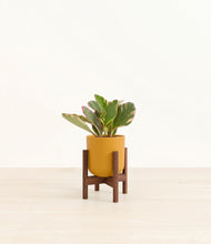 Load image into Gallery viewer, Sunset Orange stand:walnut
