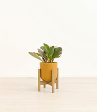 Load image into Gallery viewer, Sunset Orange stand:bamboo
