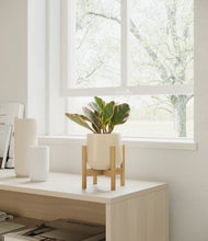 Load image into Gallery viewer, Almond Green stand:bamboo
