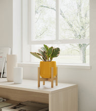 Load image into Gallery viewer, Mustard stand:bamboo
