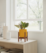 Load image into Gallery viewer, Mustard stand:walnut
