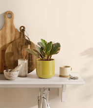 Load image into Gallery viewer, Key Lime Yellow

