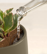 Load image into Gallery viewer, Olive stand:all
